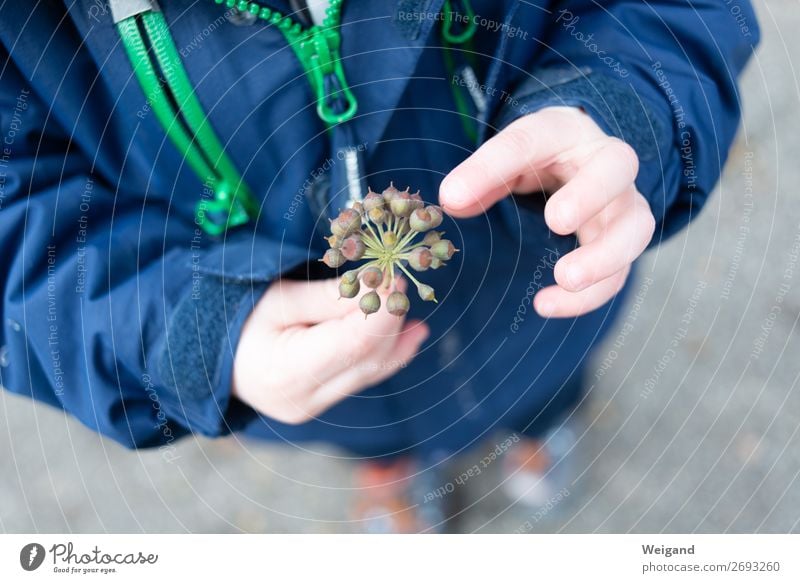 Fundstück ruhig Meditation Kindergarten Kleinkind Mädchen Junge 1-3 Jahre Spielzeug natürlich Sammlung Farbfoto Außenaufnahme Schwache Tiefenschärfe