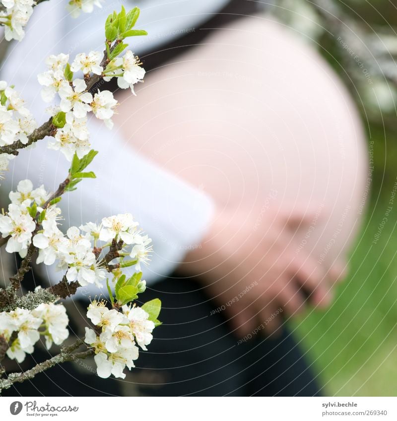 voll scharf ;-) Körperpflege Gesundheit harmonisch Wohlgefühl Erholung ruhig Garten Mensch feminin Frau Erwachsene Bauch Umwelt Natur Pflanze Frühling