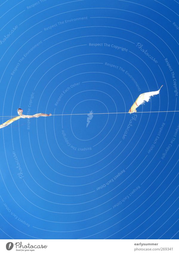 26°C, wolkenlos ruhig Himmel Wolkenloser Himmel Schönes Wetter Wind blau wehen Girlande Fahne Farbfoto Außenaufnahme abstrakt Strukturen & Formen Menschenleer