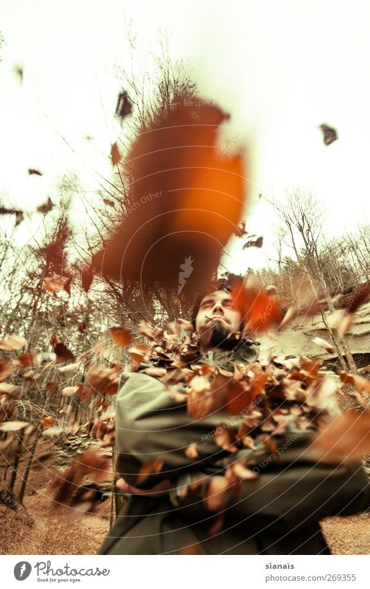 und noch viel mehr... Lifestyle Mensch maskulin Mann Erwachsene Natur Herbst Wetter Wind Blatt Wald Schutzbekleidung beobachten muskulös stark Macht Mut Hochmut