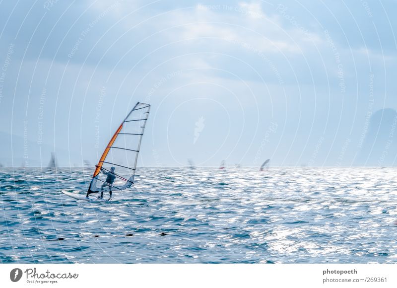 Windsurfer in Torbole, Gardasee 04 Wellen Berge u. Gebirge Sport Wassersport Sportler Natur Horizont Alpen Seeufer Bewegung sportlich Geschwindigkeit blau braun