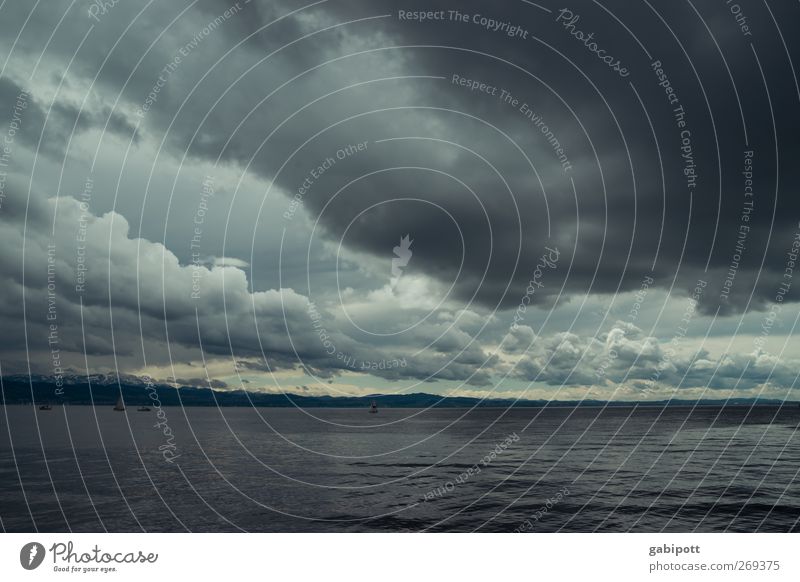 donnerwetter Umwelt Natur Himmel Frühling Klima schlechtes Wetter Unwetter Sturm Regen Küste See Bodensee außergewöhnlich bedrohlich natürlich blau schwarz