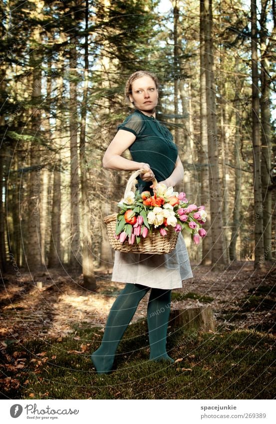 Flowers in the wood Mensch feminin Junge Frau Jugendliche Erwachsene 1 30-45 Jahre Umwelt Natur Landschaft Frühling Sommer Pflanze Baum Sträucher Moos Tulpe