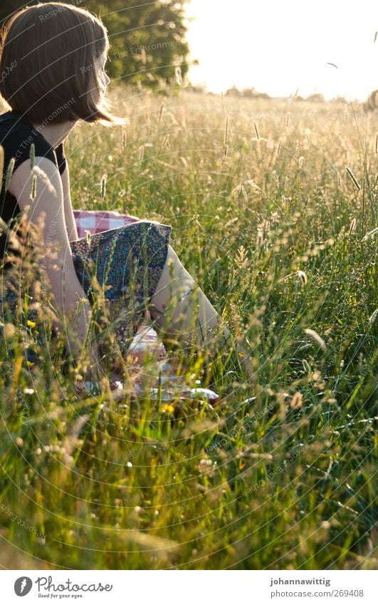 sooner or later in life the things you love you loose. feminin Mädchen Jugendliche 18-30 Jahre Erwachsene Horizont Sonne Sonnenaufgang Sonnenuntergang