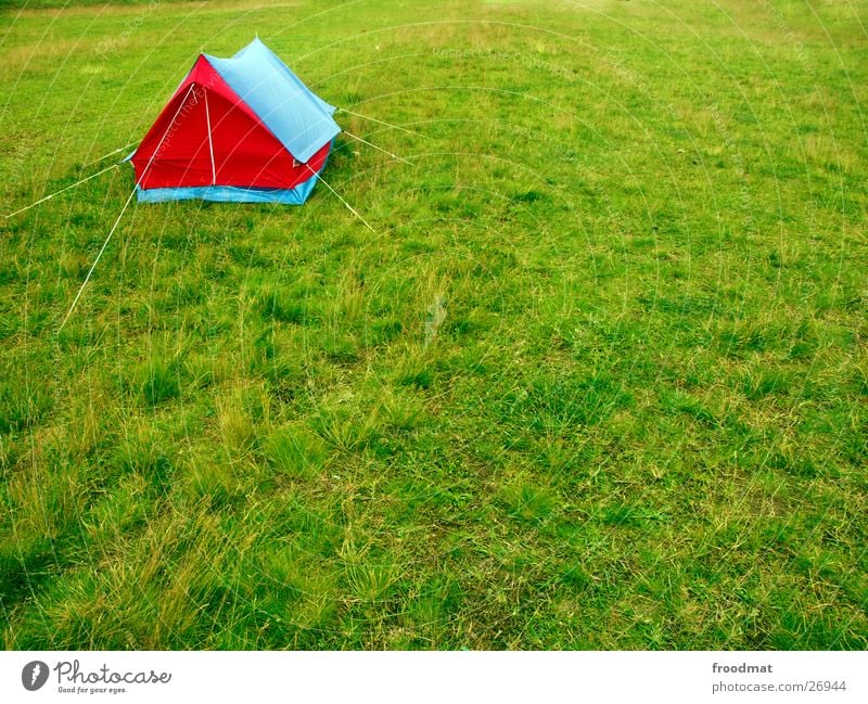 Eckenzelt Unterkunft Wiese Gras Sommer Camping Stil Zelt Campingplatz Stechmücke hell-blau himmelblau rot grell grün Dreieck Hering Reißverschluss Insekt Haus