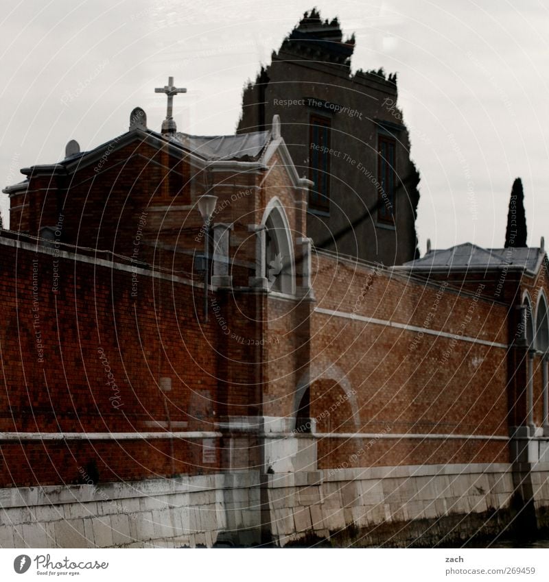 St. Michell Baum Zypresse Venedig St. Michele Italien Haus Kirche Architektur Friedhof Kapelle Mauer Wand Fassade Fenster Tor Zeichen Kreuz bedrohlich dunkel