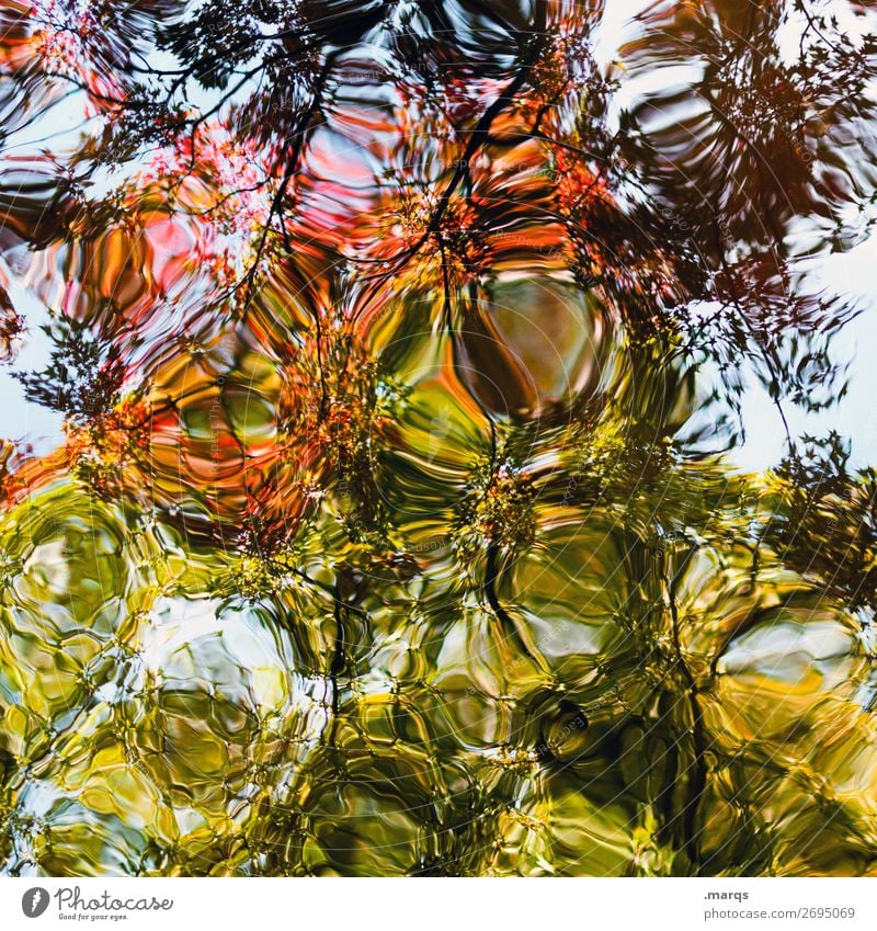 Verzerrung Natur Frühling Sommer Herbst Pflanze Baum Blatt Teich Wasser außergewöhnlich Flüssigkeit schön einzigartig blau grün orange rot schwarz Stimmung