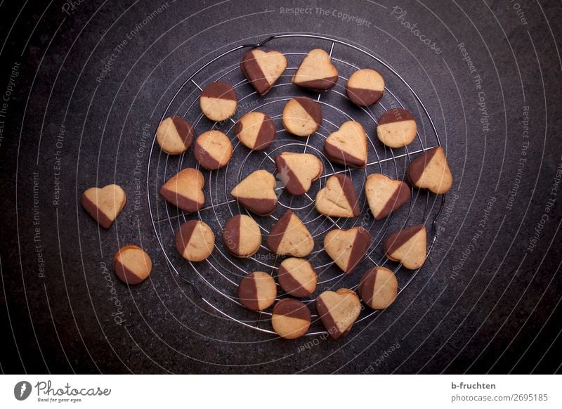 Kekse mit Schokolade auf Kuchengitter Teigwaren Backwaren Dessert Gesunde Ernährung Winter Feste & Feiern Weihnachten & Advent Küche wählen dunkel frisch Snack