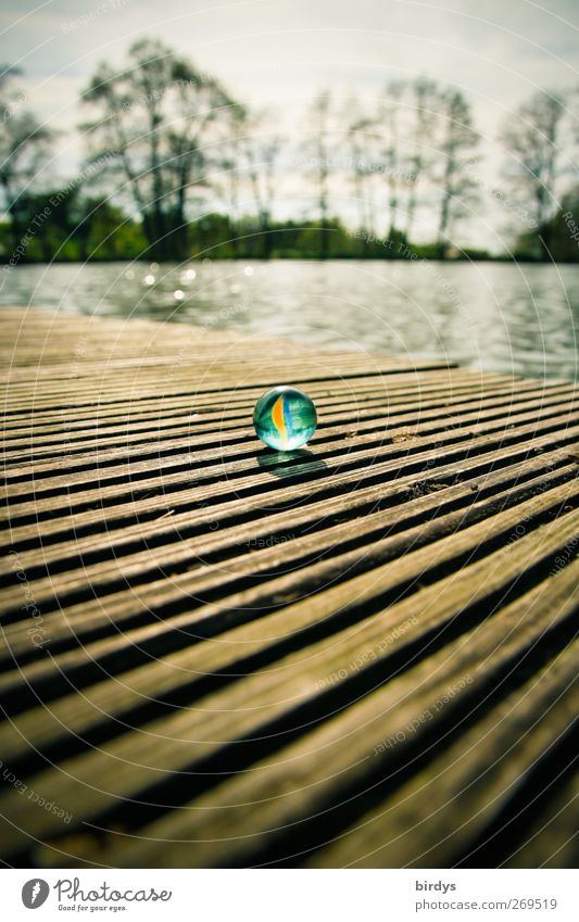 Endlich wieder am See Wasser Frühling Baum Seeufer Kugel Murmel genießen leuchten ästhetisch außergewöhnlich klein positiv schön Erholung Natur Perspektive