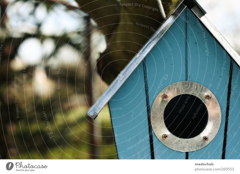 Singlehaushalt aus der Vogelperspektive Lifestyle Freizeit & Hobby Natur Sommer Haus Einfamilienhaus Futterhäuschen bauen gebrauchen Häusliches Leben kuschlig