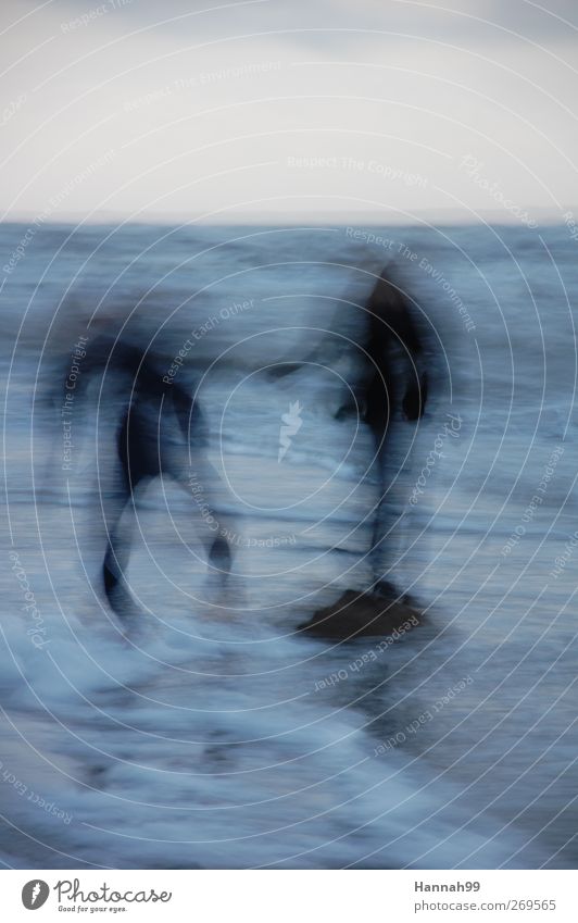 Unerwartete Welle Mensch 2 Natur Wasser Wellen Strand Meer Bewegung springen Dämmerung Farbfoto Außenaufnahme abstrakt Unschärfe Bewegungsunschärfe Totale