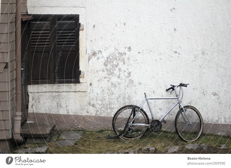 Der Zahn der Zeit Haus Mauer Wand Fassade Fenster Fahrrad kaputt grau Verfall platt Farbfoto Außenaufnahme Textfreiraum oben Tag Licht Menschenleer Reifenpanne