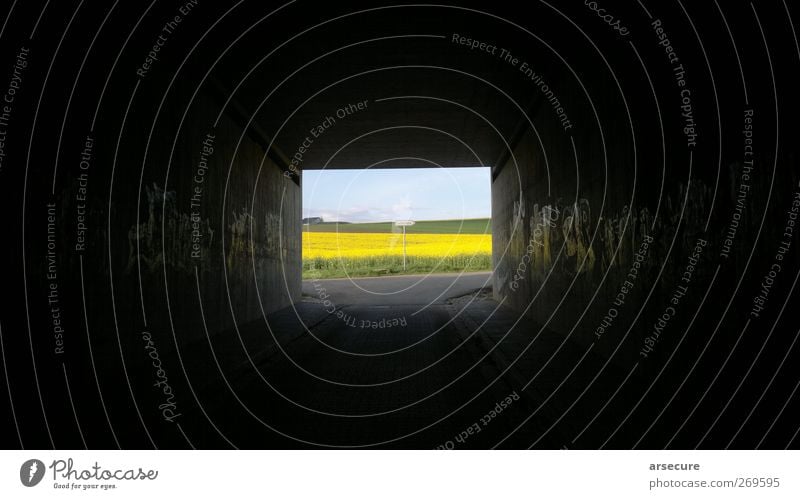 Weg ins Licht I Glück Ausflug Abenteuer Sommer Landwirtschaft Forstwirtschaft Natur Landschaft Pflanze Frühling Feld Dorf Menschenleer Brücke Tunnel