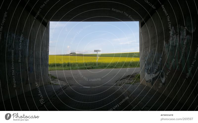 Weg ins Licht II Glück Landschaft Himmel Frühling Pflanze Dorf Menschenleer Wege & Pfade Wegkreuzung eckig gelb Vorfreude Beginn Hoffnung Farbfoto Außenaufnahme