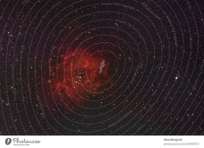 Rosettennebel Technik & Technologie Wissenschaften Fortschritt Zukunft Umwelt Natur Himmel nur Himmel Wolkenloser Himmel Nachthimmel Stern Winter Wachenheim