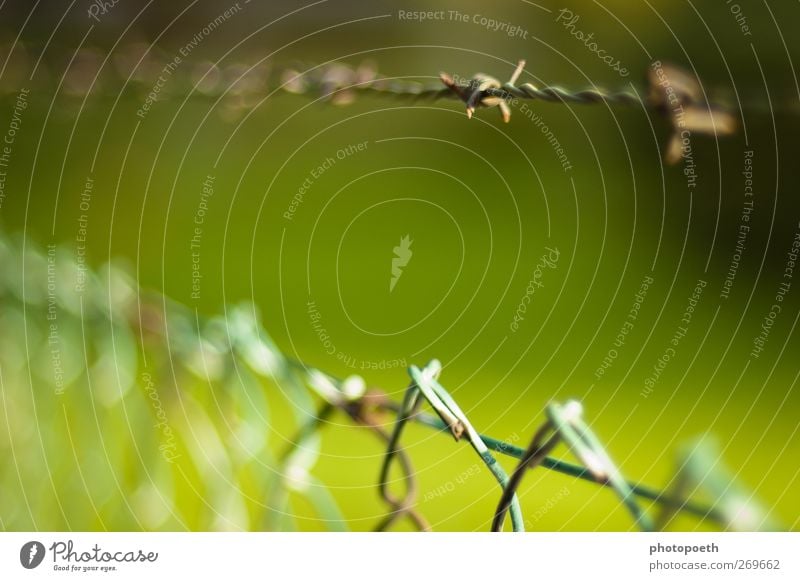 Grenzbereich Stacheldraht grün Zaun Stacheldrahtzaun Grenze Schutz Verbote Zutritt Freiheit Wiese Linie stachelig stechen aussperren einsperren geschlossen