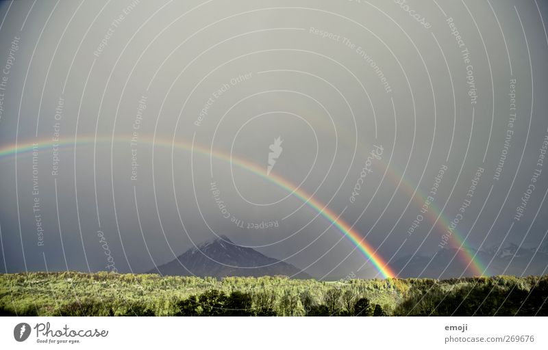 unbelievable Umwelt Natur Landschaft Himmel Klimawandel Unwetter Wind Sturm Gewitter Wald außergewöhnlich Regenbogen Naturgewalt Naturphänomene Naturerlebnis