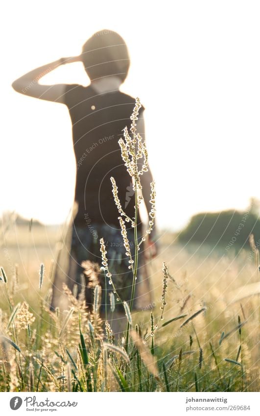 bis wohin? feminin Junge Frau Jugendliche Rücken 1 Mensch 18-30 Jahre Erwachsene Frühling Sommer Schönes Wetter Blume Gras Sträucher Feld Pause Sonnenuntergang