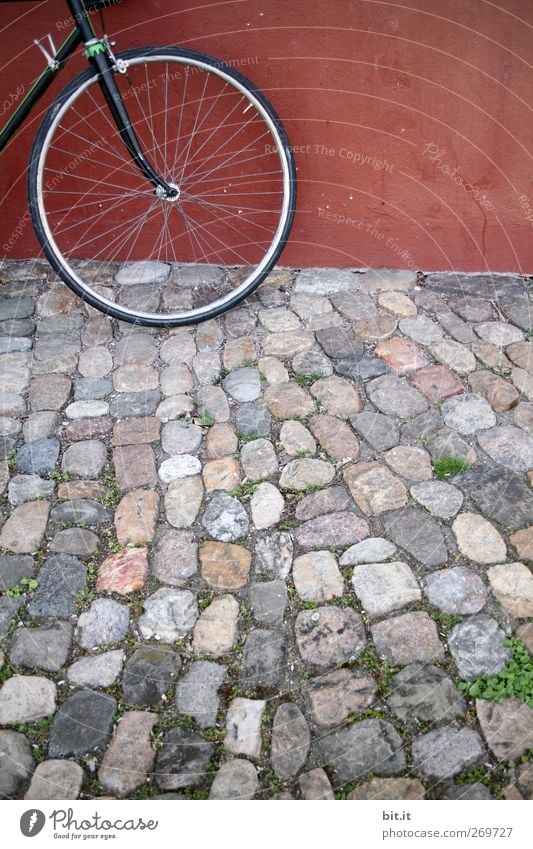 Vorderrad Fahrrad Platz Mauer Wand Verkehrsmittel Stein stehen rund grau rot Kopfsteinpflaster Rad Speichen Fußweg Reifen Vorderseite Pflastersteine Pflasterweg