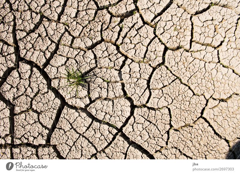 trockener Sommer Angeln Sonne Natur Pflanze Urelemente Erde Sand Klimawandel Schönes Wetter Gras See Saanenland Schweiz trist braun unsicher heiß Furche stark