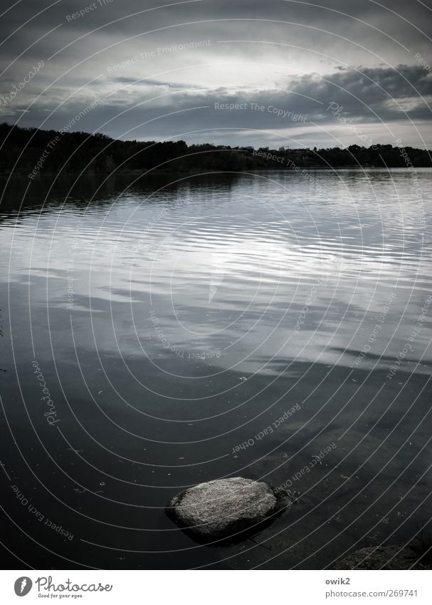 Wassermusik Freiheit Umwelt Natur Landschaft Urelemente Himmel Wolken Wald Küste Seeufer Stein Granit Lausitz Deutschland Osten dunkel natürlich blau grau