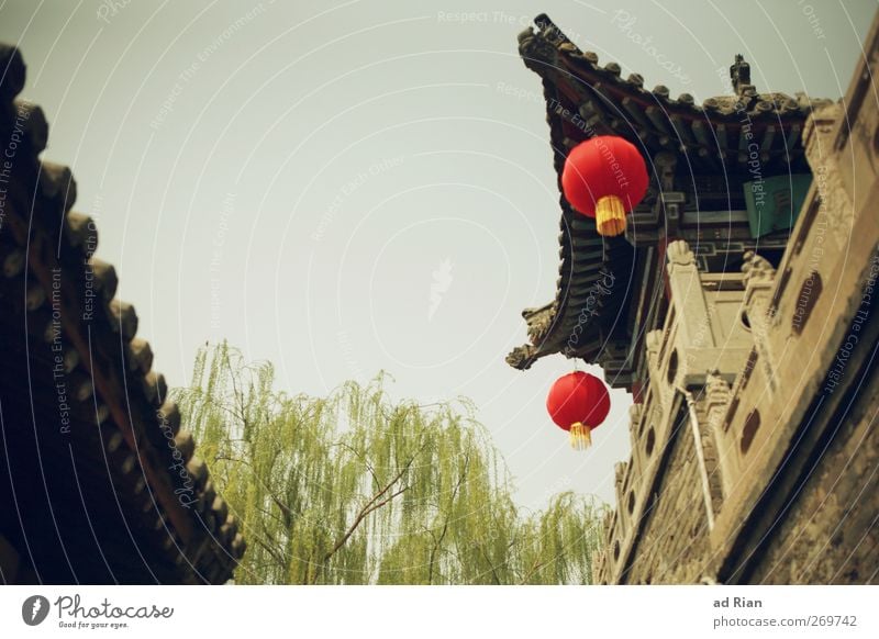 red dots Himmel Wolkenloser Himmel Frühling Schönes Wetter Baum Grünpflanze Pingyao China Dorf Kleinstadt Stadtzentrum Altstadt Skyline Menschenleer Haus Hütte