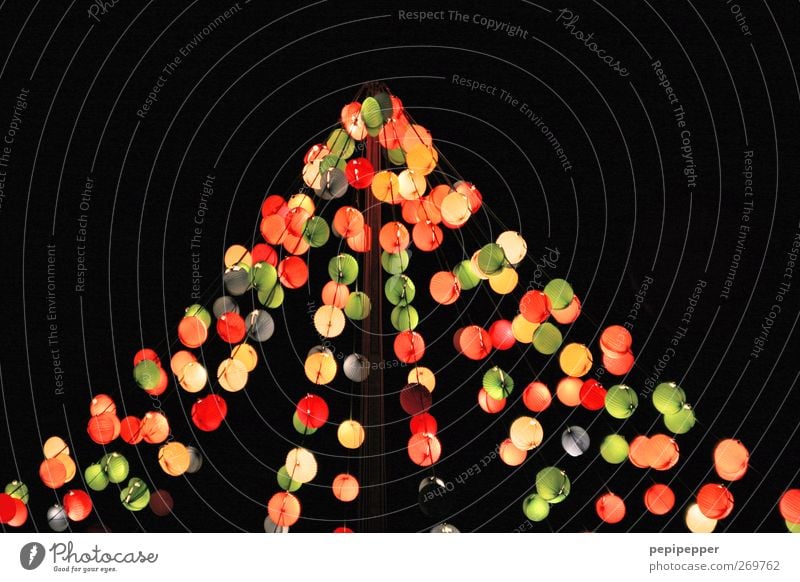 Lichterzelt Freude Häusliches Leben Garten Lampe Nachtleben Musik Feste & Feiern Tanzen Tanzveranstaltung Veranstaltung Kugel Linie leuchten Lebensfreude Zelt