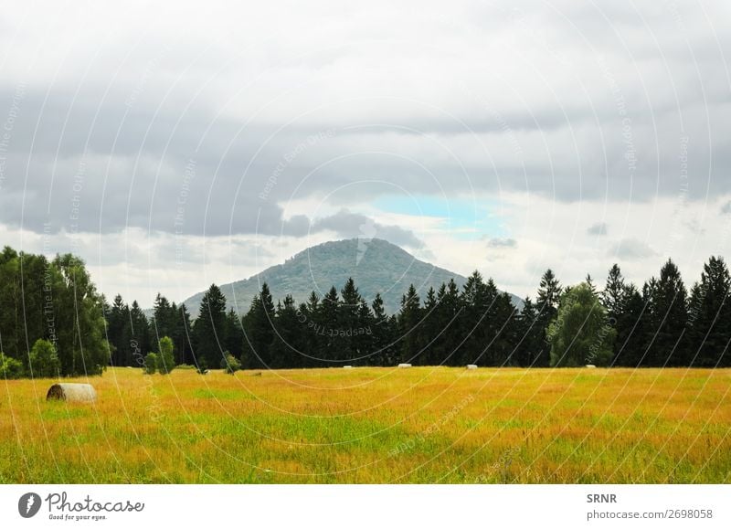 Ländliche Landschaft Ferien & Urlaub & Reisen Tourismus Ausflug Berge u. Gebirge wandern Umwelt Natur Pflanze Himmel Wolken Baum Wiese Wald authentisch