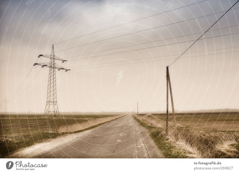 Linientreu Umwelt Natur Landschaft Himmel Wolken Gewitterwolken Horizont Frühling Herbst schlechtes Wetter Gras Straße Wege & Pfade braun grau grün Langeweile