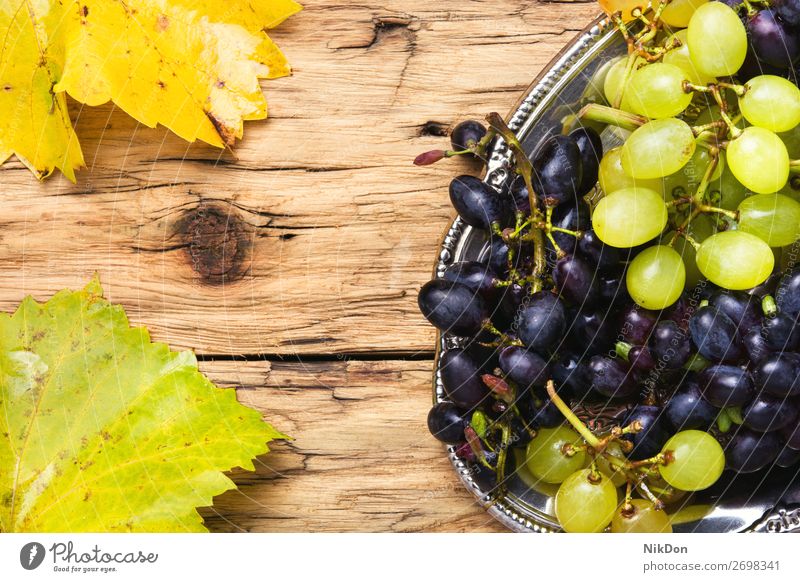 Weintrauben auf einem Tablett Traube Gesundheit Sommer natürlich süß saftig Haufen Blatt Weinrebe Weinberg Frucht ländlich frisch Weingut Essen Menschengruppe