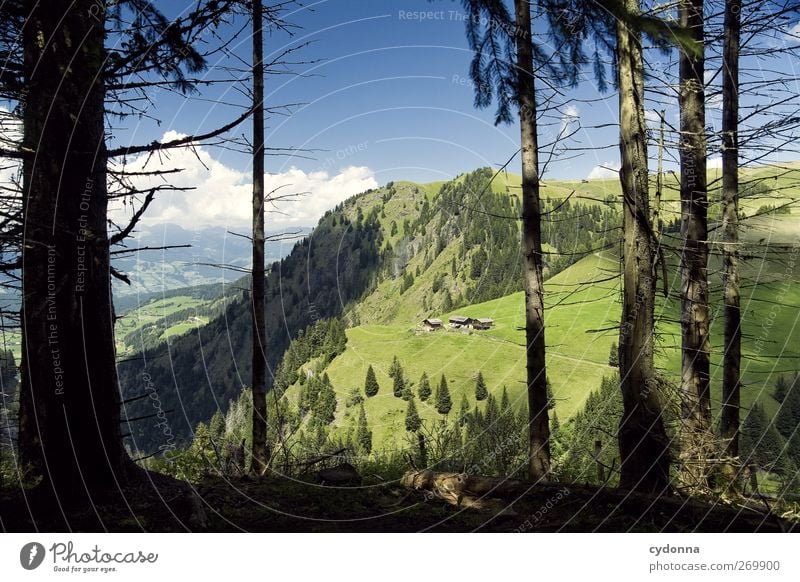 Kurze Verschnaufpause, dann weiter Leben harmonisch Erholung ruhig Ferien & Urlaub & Reisen Ausflug Ferne Umwelt Natur Landschaft Himmel Sommer Schönes Wetter