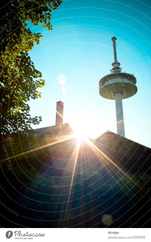 die letzten Sonnenstrahlen Wolkenloser Himmel Sonnenlicht Sommer Schönes Wetter Baum Haus Fernsehturm leuchten ästhetisch hell hoch blau grün Stadt Funkturm