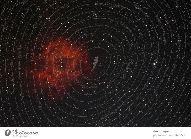Rosettennebel Technik & Technologie Wissenschaften Fortschritt Zukunft Umwelt Natur Himmel nur Himmel Wolkenloser Himmel Nachthimmel Stern Winter Wachenheim