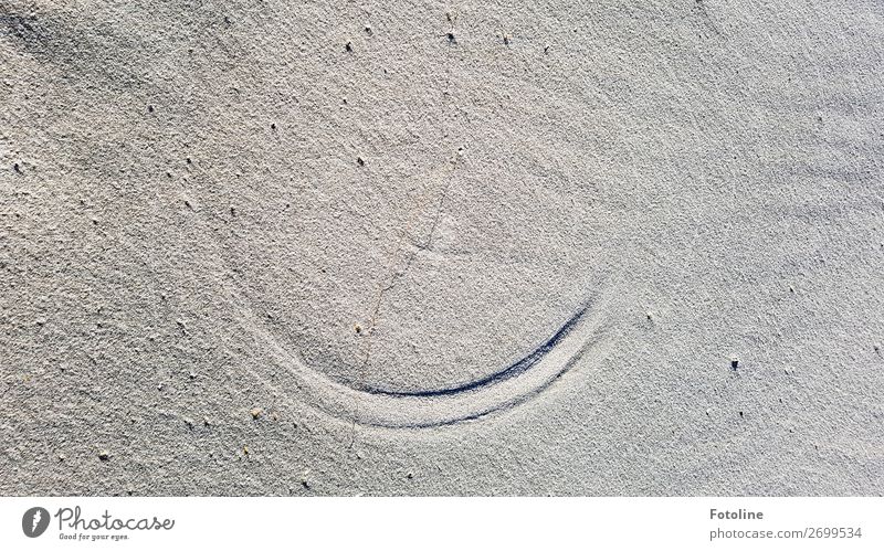 Nature is perfect Umwelt Urelemente Erde Sand Küste Strand Nordsee Ostsee Insel hell natürlich Halbkreis Stranddüne zeichnen Farbfoto Gedeckte Farben