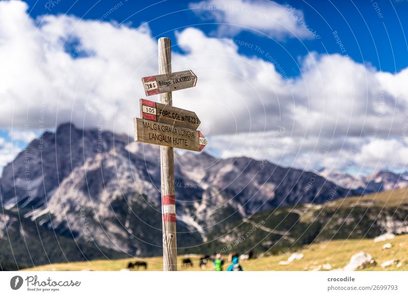 # 796 Drei Zinnen Dolomiten Sextener Dolomiten Weltkulturerbe Hochebene Farbfoto wandern Fußweg Gipfel Bergsteigen Alpen Berge u. Gebirge Schönes Wetter Wiese