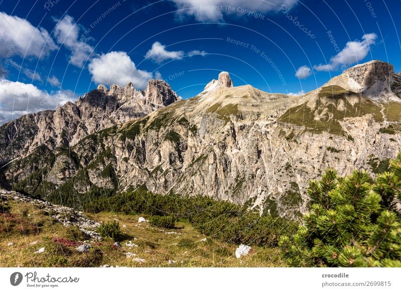 # 829 Drei Zinnen Dolomiten Sextener Dolomiten Weltkulturerbe Hochebene Farbfoto wandern Fußweg Gipfel Bergsteigen Alpen Berge u. Gebirge Schönes Wetter Wiese