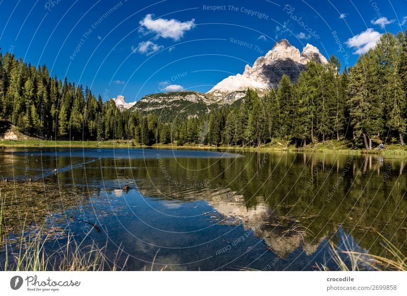 789 Drei Zinnen Dolomiten Sextener Dolomiten Weltkulturerbe Hochebene Farbfoto wandern Fußweg Gipfel Bergsteigen Alpen Berge u. Gebirge Schönes Wetter Wiese