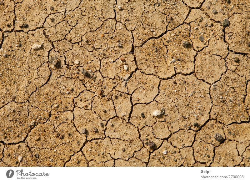 Die Textur ist gerissen, die Erdoberfläche ist trocken. Sommer Sonne Umwelt Natur Erde Sand Klima Klimawandel Wetter Dürre dreckig heiß natürlich braun Tod