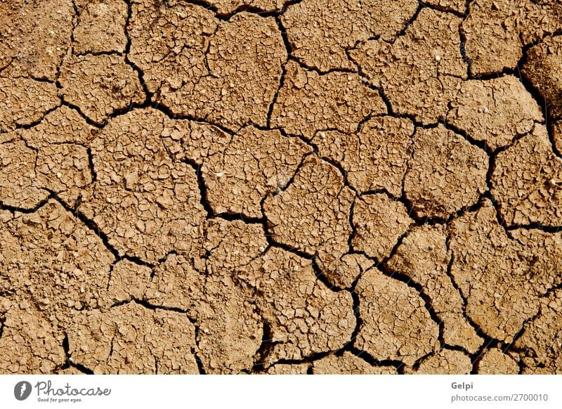 Die Textur ist gerissen, die Erdoberfläche ist trocken. Sommer Sonne Umwelt Natur Erde Sand Klima Klimawandel Wetter Dürre dreckig heiß natürlich braun Tod