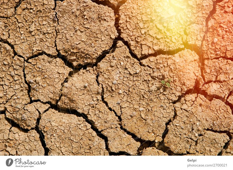 Die Textur ist gerissen, die Erdoberfläche ist trocken. Sommer Sonne Umwelt Natur Erde Sand Klima Klimawandel Wetter Dürre dreckig heiß natürlich braun Tod