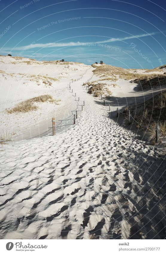 Kiesgrube Umwelt Natur Landschaft Sträucher Wüste Sand Düne Polen Slowinski Nationalpark Idylle Ferne Farbfoto Außenaufnahme Menschenleer Textfreiraum oben