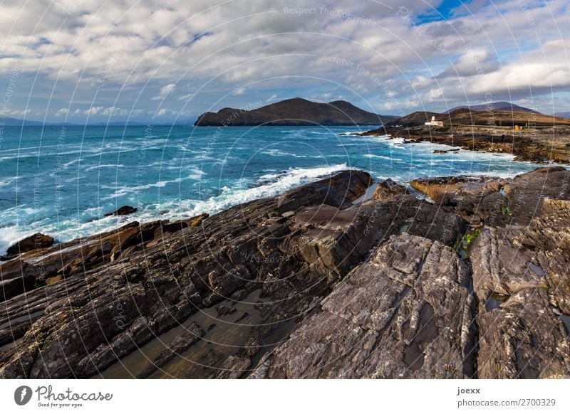 Dicke Haut Natur Wasser Himmel Wolken Sommer Schönes Wetter Felsen Wellen Meer Insel Nordirland Leuchtturm alt historisch maritim blau braun weiß Horizont