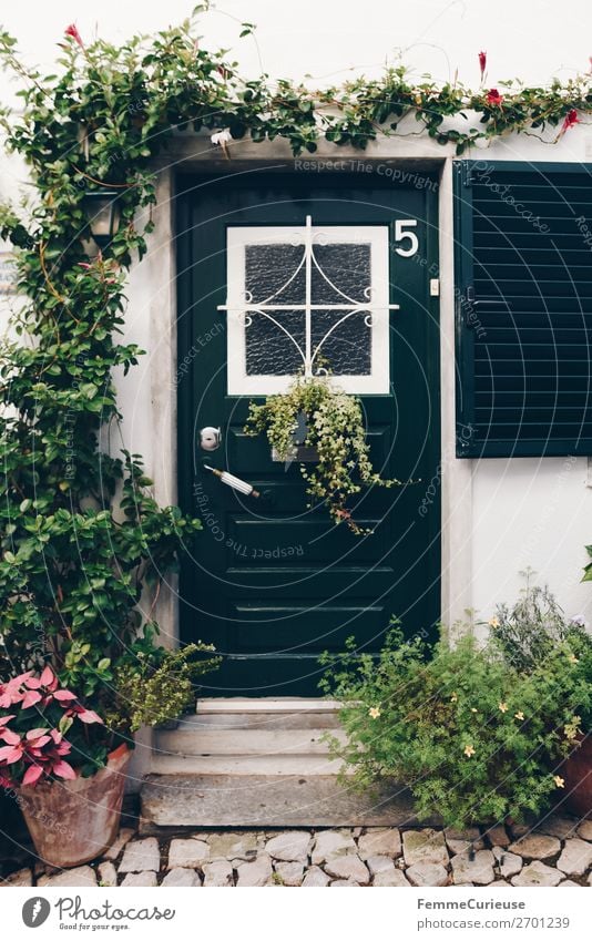 Door in Portugal Haus Ferien & Urlaub & Reisen Häusliches Leben Reisefotografie Tür Pflanze Dekoration & Verzierung dunkelgrün Farbfoto Außenaufnahme