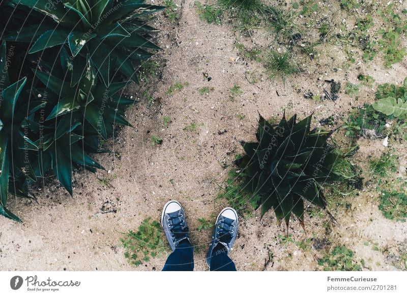 Feet of a person on sand with plants Freizeit & Hobby 1 Mensch Ferien & Urlaub & Reisen Portugal Küste Sand Sandstrand Pflanze Turnschuh Jeanshose Spaziergang