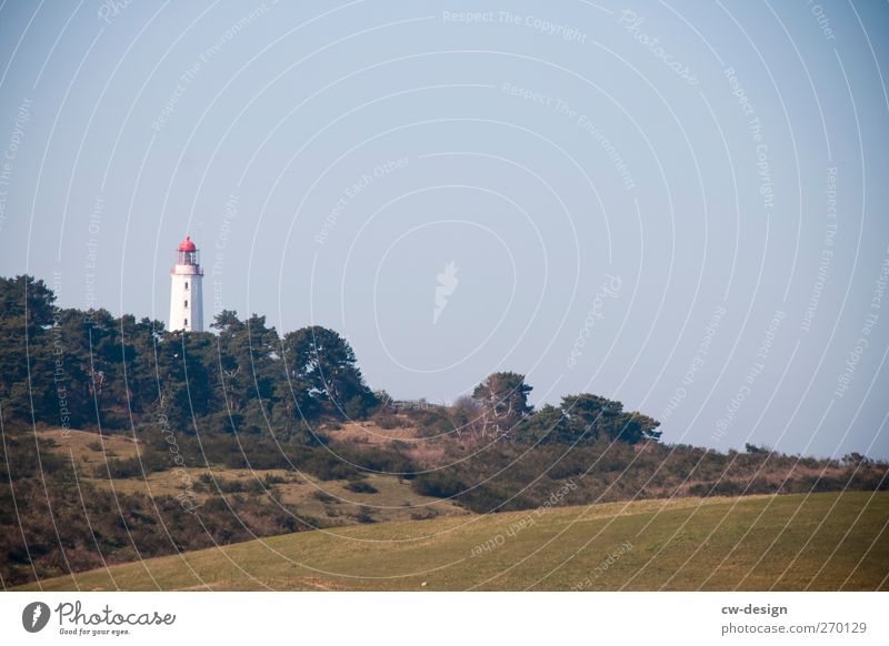 Hiddensee | Grüße von der Insel Ferien & Urlaub & Reisen Tourismus Ausflug Freiheit Sightseeing Sommerurlaub Natur Landschaft Pflanze Wolkenloser Himmel