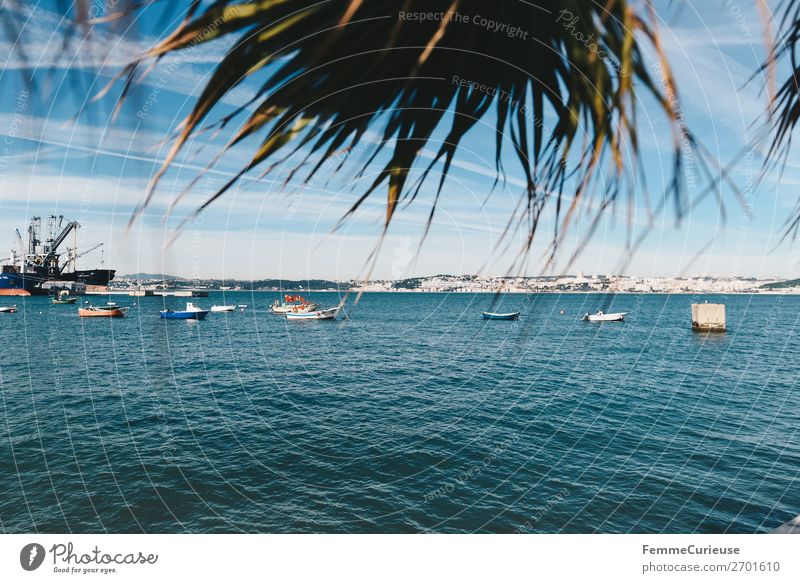 View of port in Portugal through palm fronds Hafenstadt Verkehr Verkehrsmittel Verkehrswege Schifffahrt Binnenschifffahrt Bootsfahrt Fischerboot