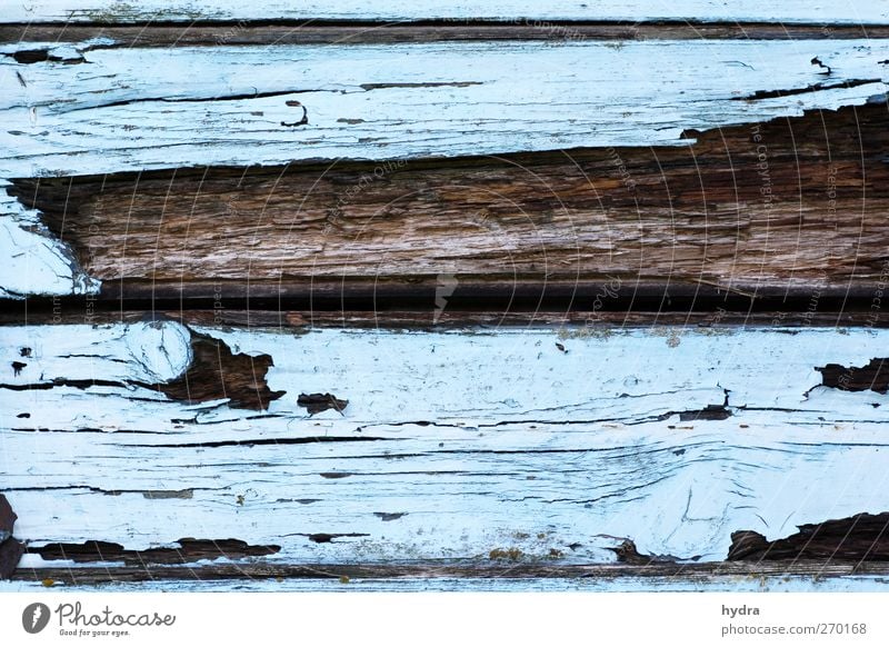 Bessere Zeiten Renovieren Wand Holzwand Wandtäfelung Anstreicher Hütte Ruine Mauer Fassade alt kaputt blau braun Endzeitstimmung Vergänglichkeit verwittert