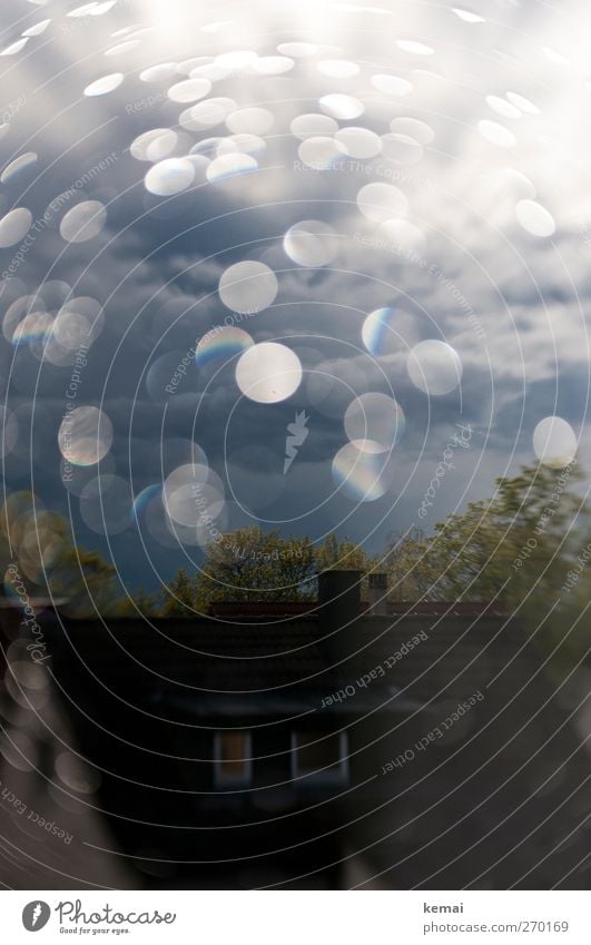 Rund ums Haus Umwelt Natur Landschaft Pflanze Wasser Wassertropfen Wolken Gewitterwolken schlechtes Wetter Regen Baum Einfamilienhaus Fenster Fensterscheibe