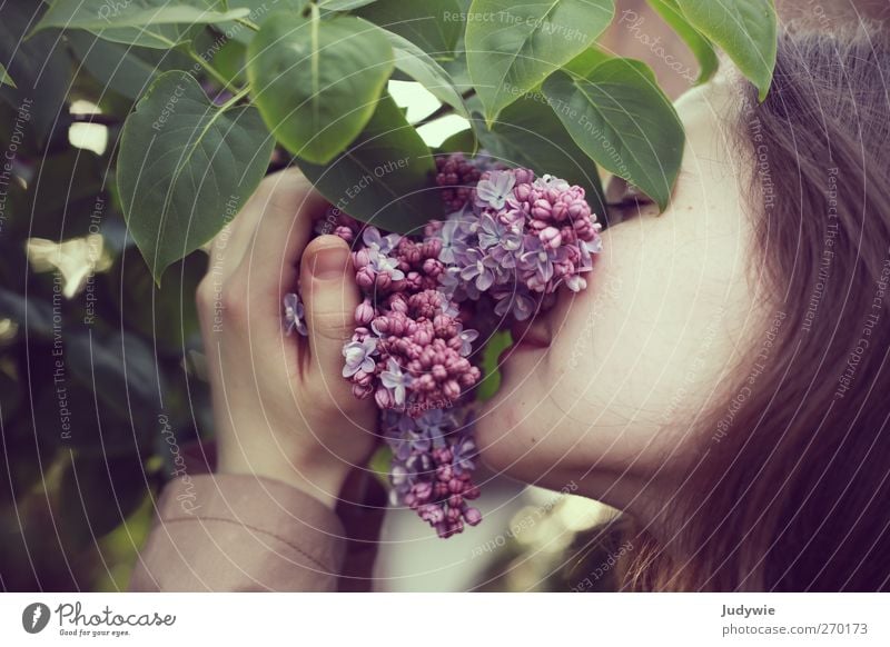 Intensiv harmonisch Wohlgefühl Zufriedenheit Sinnesorgane Duft Mensch feminin Junge Frau Jugendliche Kopf Haare & Frisuren Umwelt Natur Frühling Pflanze Blüte