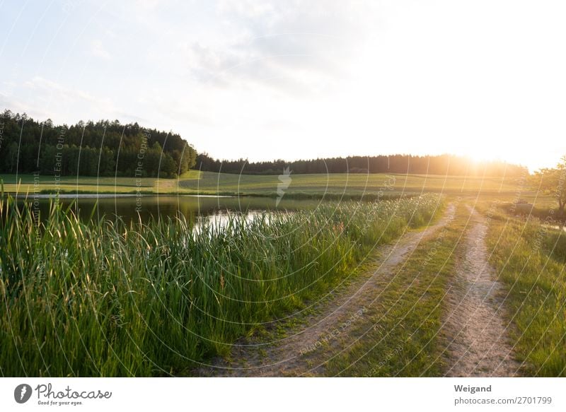 Abendrunde harmonisch Wohlgefühl Zufriedenheit Erholung laufen achtsam Vorsicht Gelassenheit geduldig ruhig See Ferien & Urlaub & Reisen Landschaft Fußweg